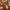 IMG-20230519-WA0029