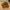 IMG-20230519-WA0039