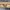 IMG-20230519-WA0041